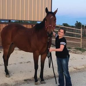 Meet your Posher, Ella